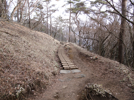 20170118hike (73)